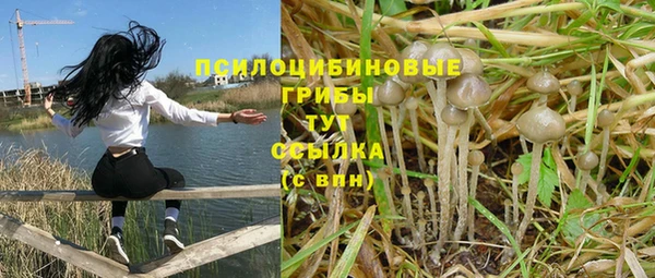 ешки Абаза