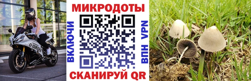 omg ТОР  Копейск  Псилоцибиновые грибы прущие грибы  как найти закладки 
